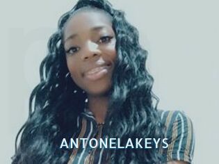 ANTONELAKEYS