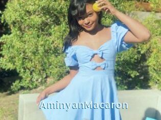 AminyanMacaron