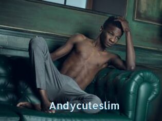 Andycuteslim