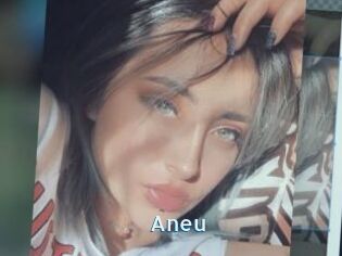 Aneu