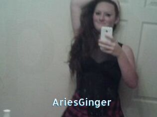 AriesGinger