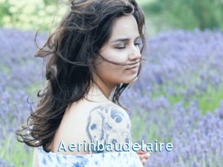 Aerinbaudelaire