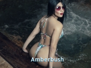 Amberbush