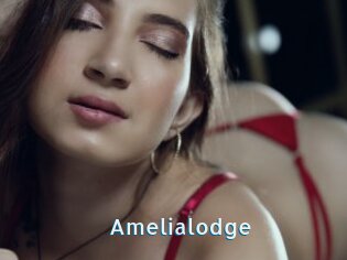 Amelialodge