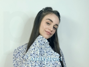 Amityarnet