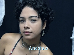 Anashus