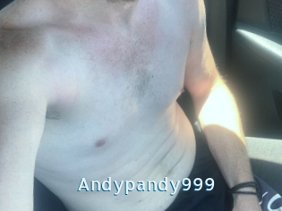 Andypandy999