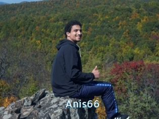 Anis66