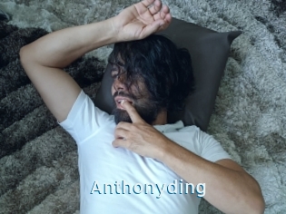 Anthonyding