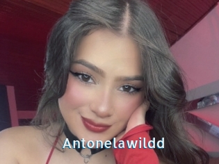 Antonelawildd