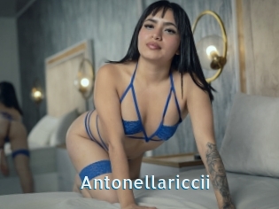 Antonellariccii