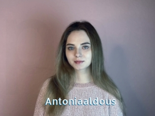 Antoniaaldous