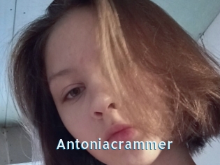 Antoniacrammer