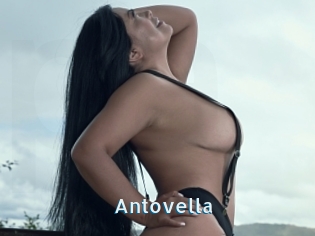 Antovella