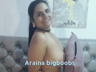 Araina_bigboobs