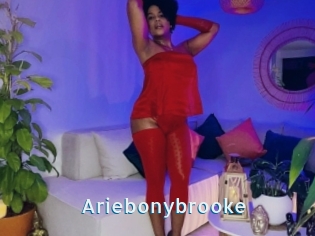 Ariebonybrooke