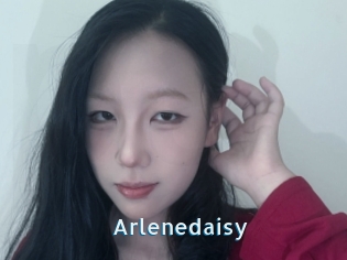 Arlenedaisy