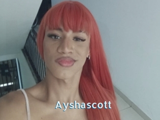 Ayshascott