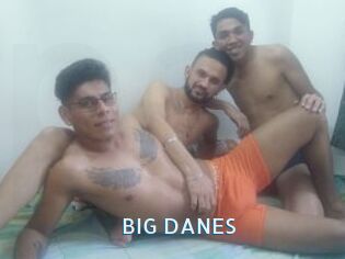 BIG_DANES
