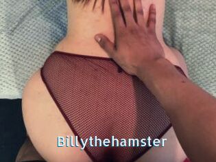Billythehamster