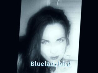 Blueladybird