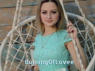 BurningOfLovee