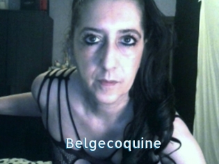Belgecoquine