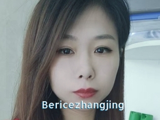 Bericezhangjing