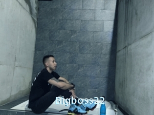 Bigboss22