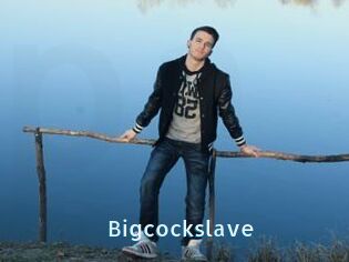 Bigcockslave