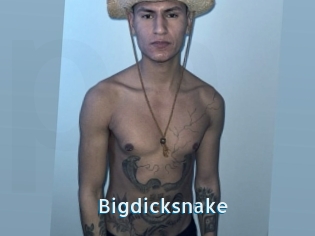 Bigdicksnake