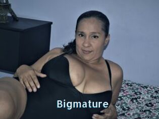 Bigmature