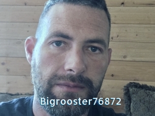 Bigrooster76872
