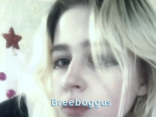 Breeboggus