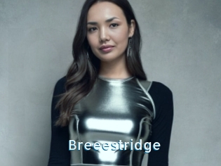 Breeestridge