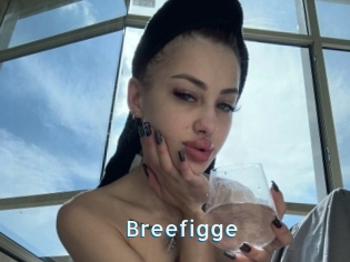 Breefigge