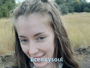 Breezysoul