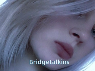 Bridgetalkins