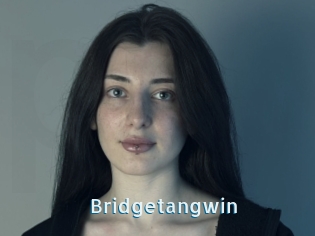 Bridgetangwin