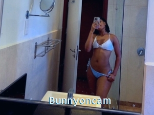 Bunnyoncam