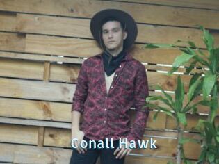 Conall_Hawk