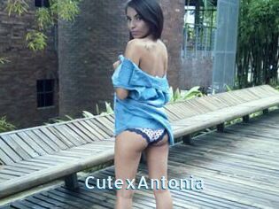 CutexAntonia