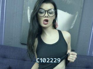 C102229