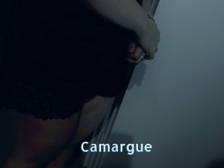 Camargue