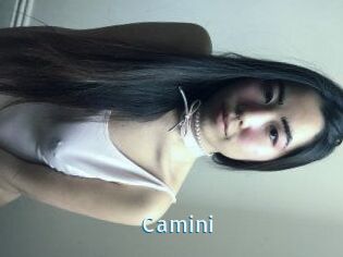 Camini