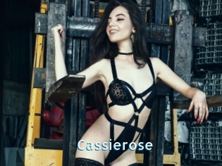 Cassierose