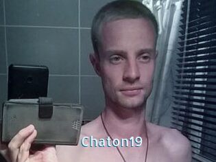 Chaton19