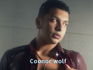 Coonor_wolf