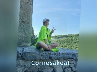 Cornesakeat