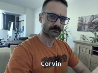 Corvin